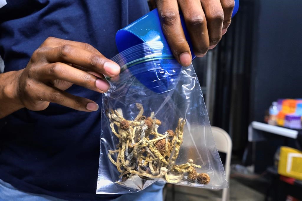 McGill-led study suggests psychedelics could change depression treatment