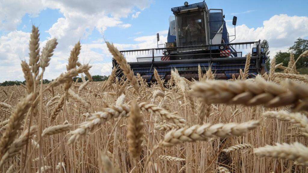 Cadmium crisis pushes France towards long-delayed political test