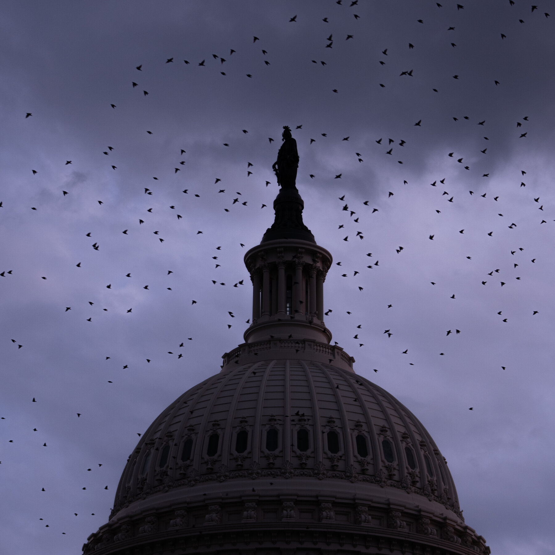 What Worries Democrats as the Midterms Heat Up