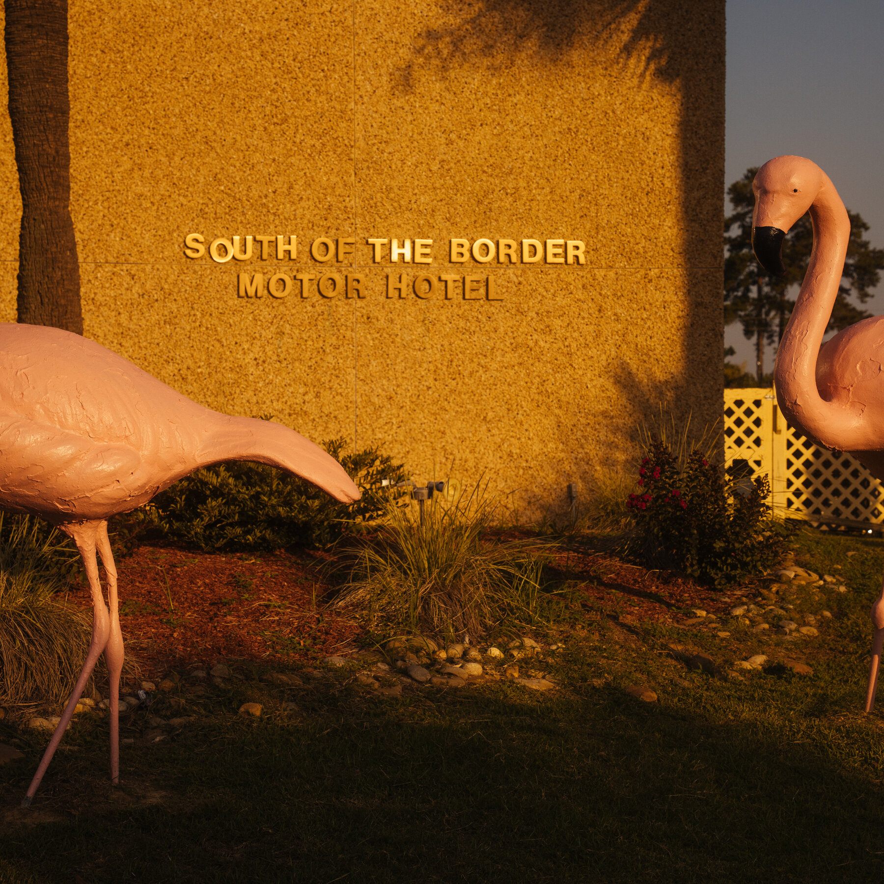 Tacky, Rude and Beloved: Is an I-95 Landmark Worth Saving?