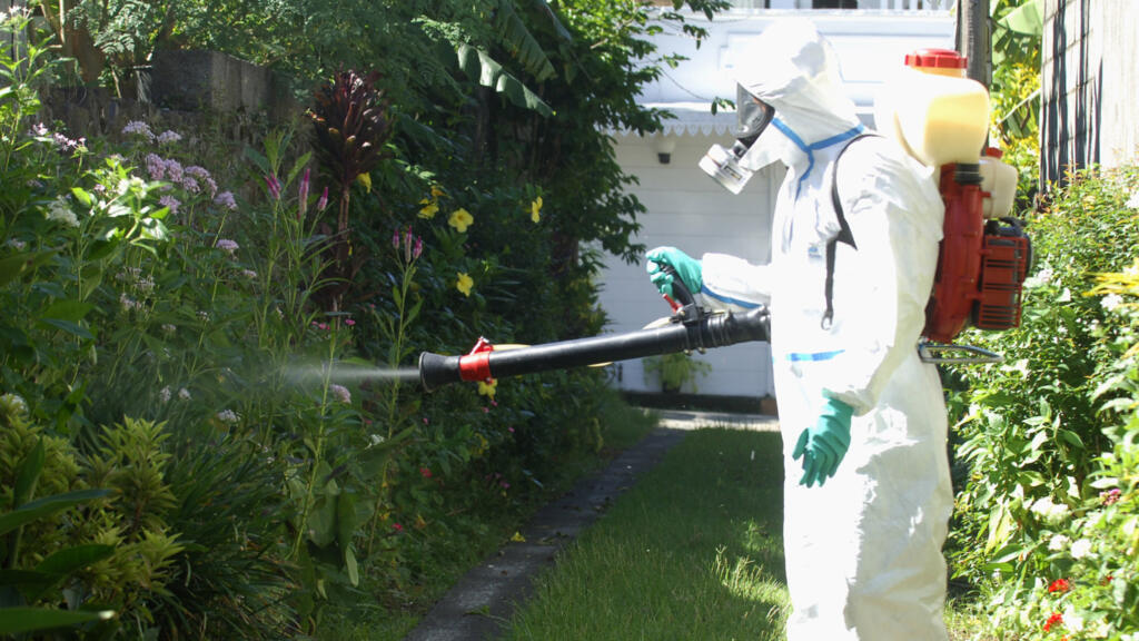 Southwest France steps up mosquito control following 20 chikungunya cases