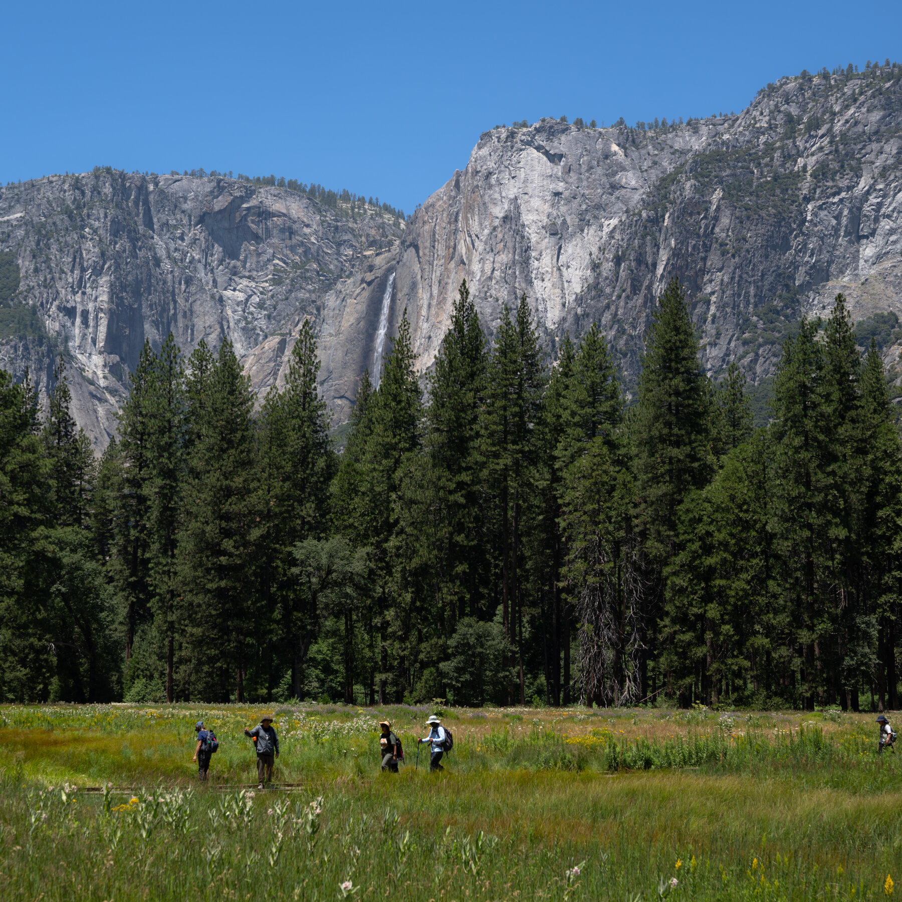 Trump Administration Looks to Give a Swath of Yosemite Park to Developer