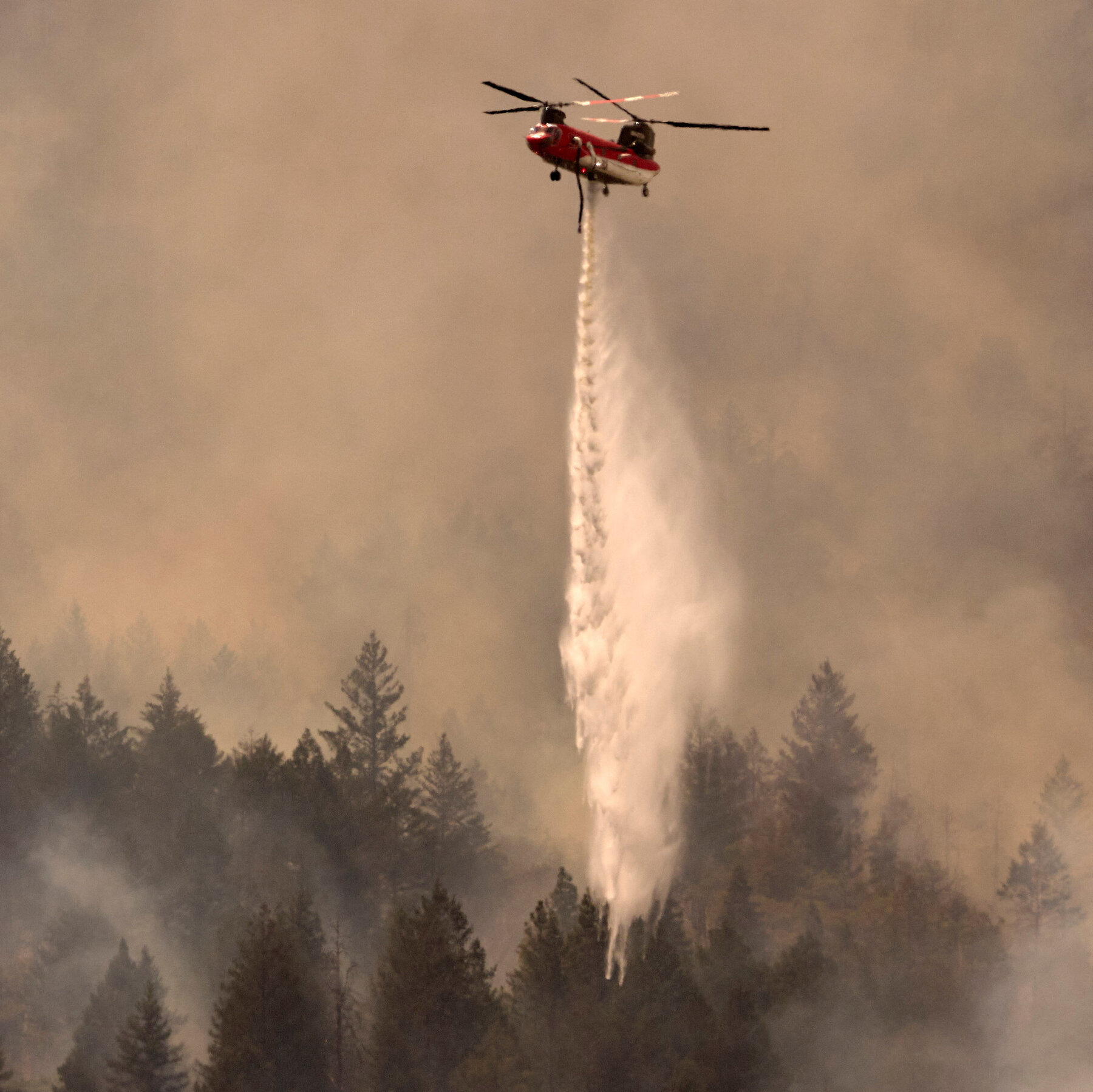 Napa County Winery Worker Charged With Starting Pickett Fire That Damaged Grape Harvests