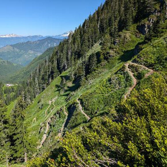 Hiker Is Found Dead on Washington Trail After Fall