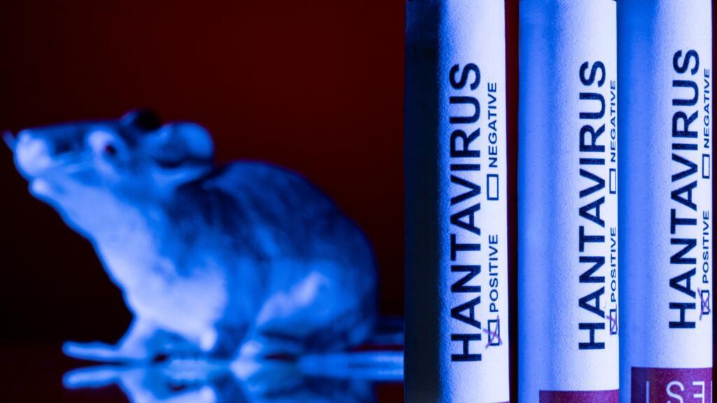 France says hantavirus outbreak  ‘under control’ as infection remains isolated